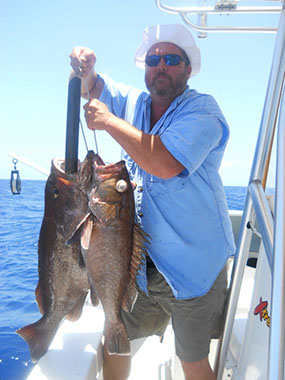 Two large Grouper being returned using the Fish Saver Device.